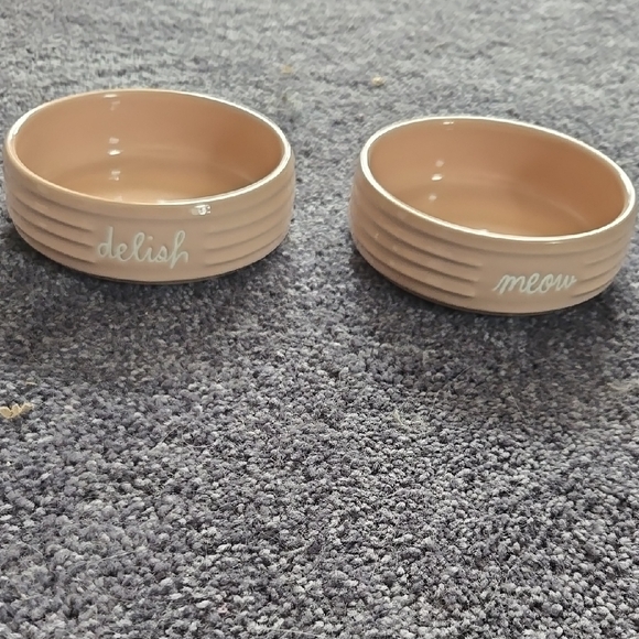 NWT Rae Dunn Set of Two Tan Pet Bowls - Picture 1 of 2